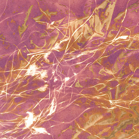 Lumen Print
