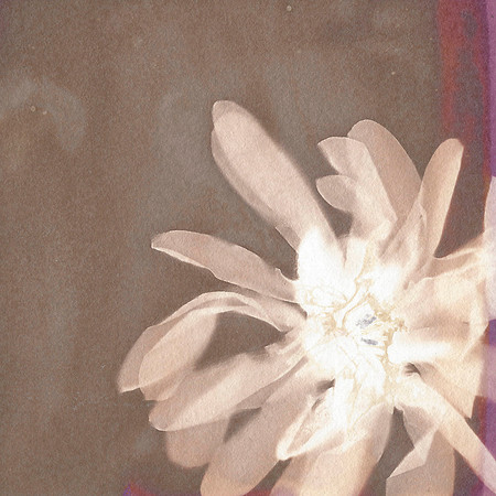 Lumen Print