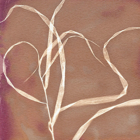 Lumen Print