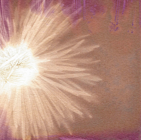 Lumen Print