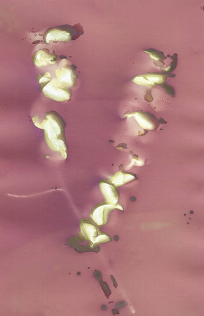 Lumen Print